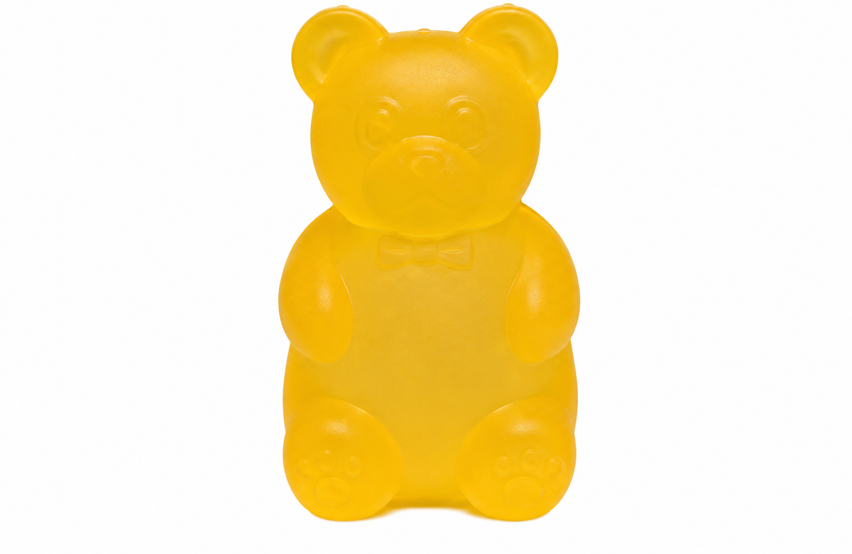 Sugar Bear Squishy