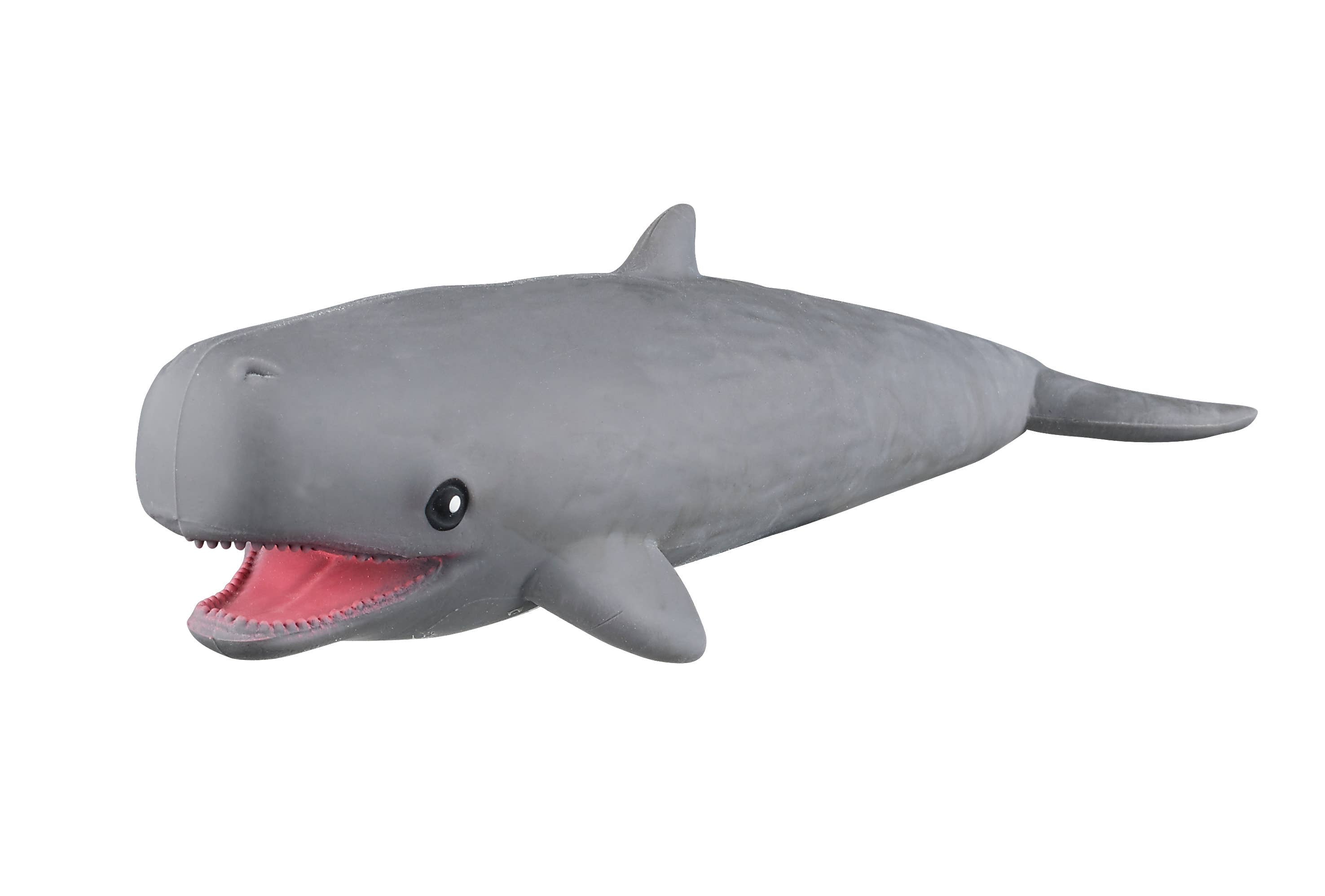 Stretchy Sea Life Creatures