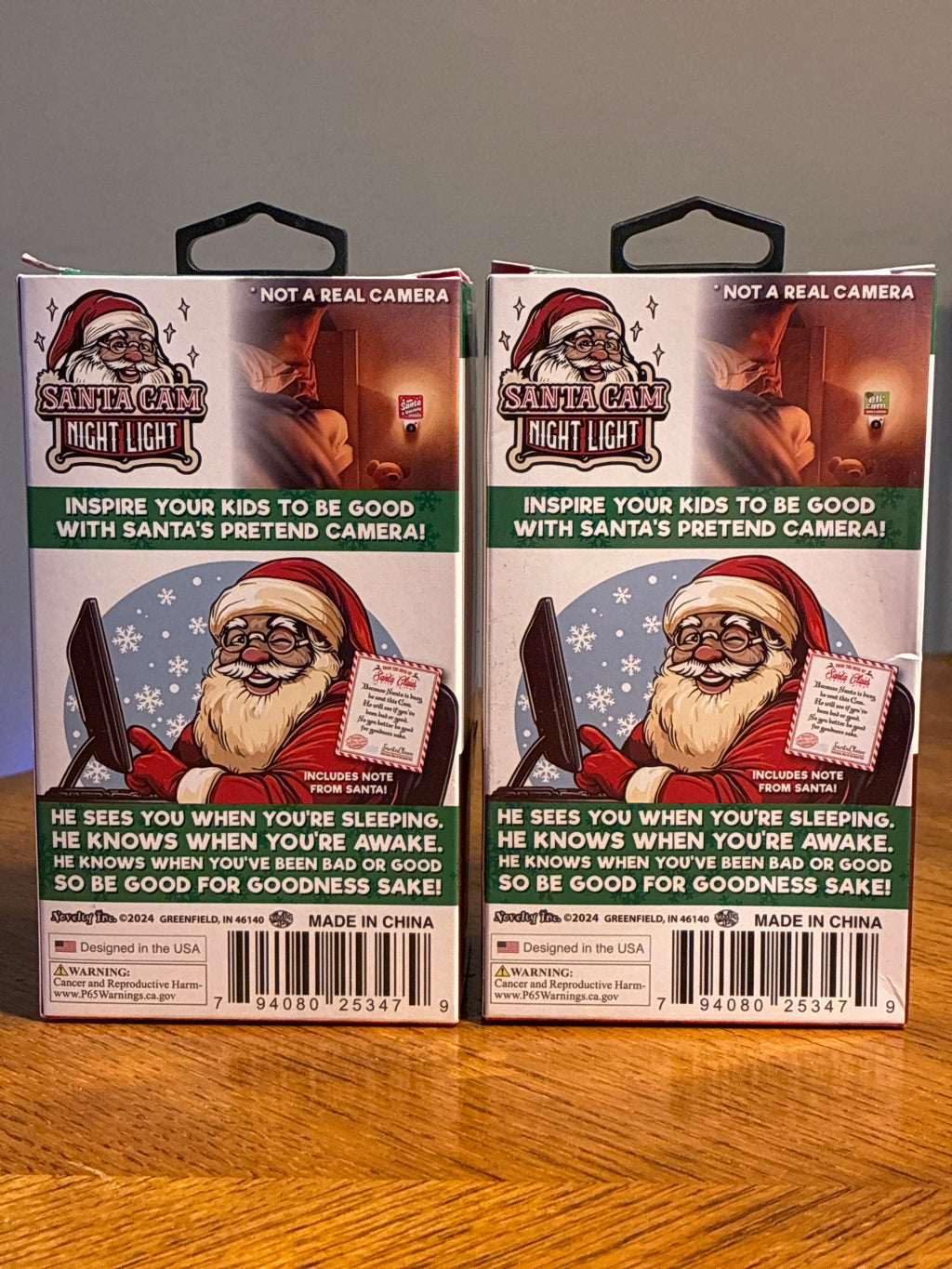 Christmas Santa/Elf Cam Nightlight