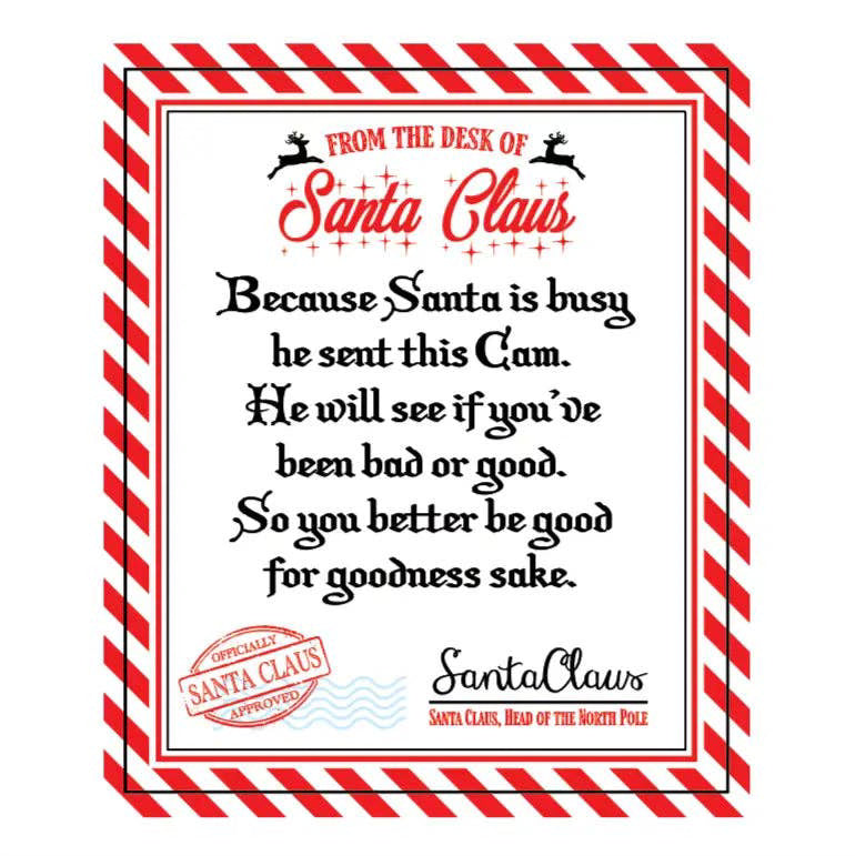 Christmas Santa/Elf Cam Nightlight