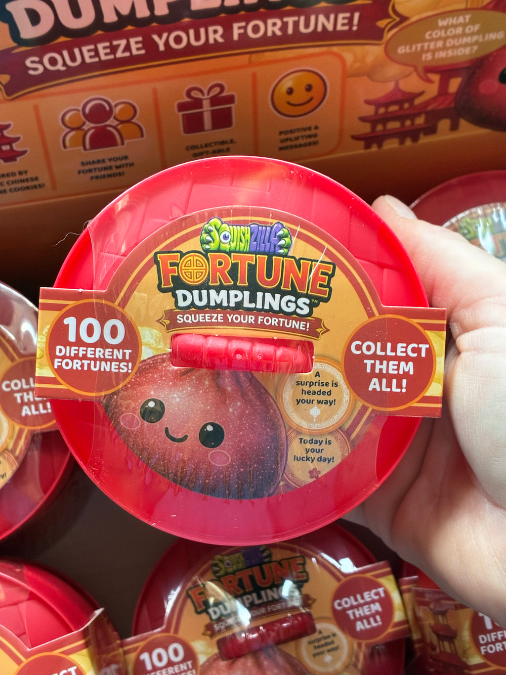 Fortune Dumpling