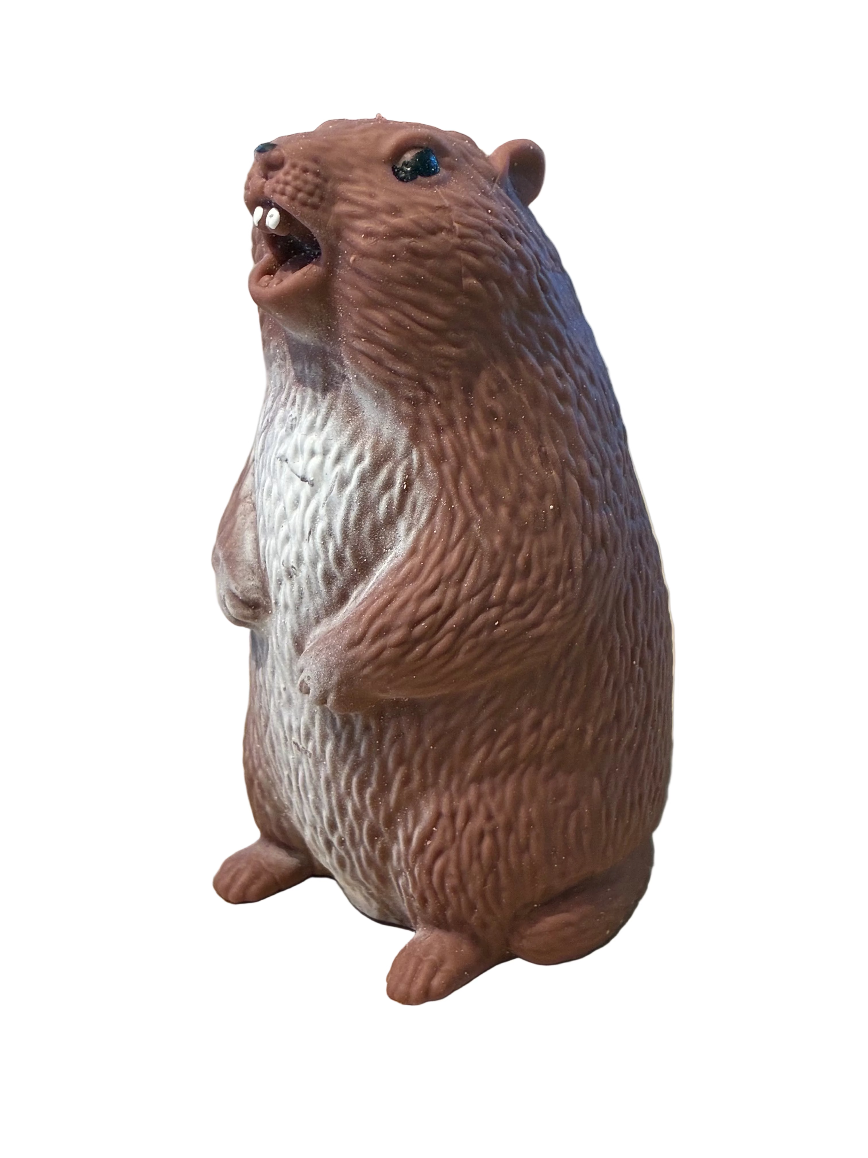 Squishy Groundhog
