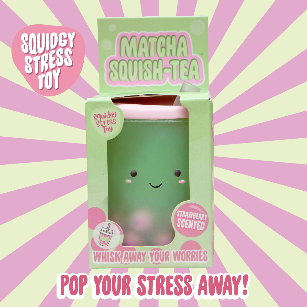 Matcha Tea Squishy