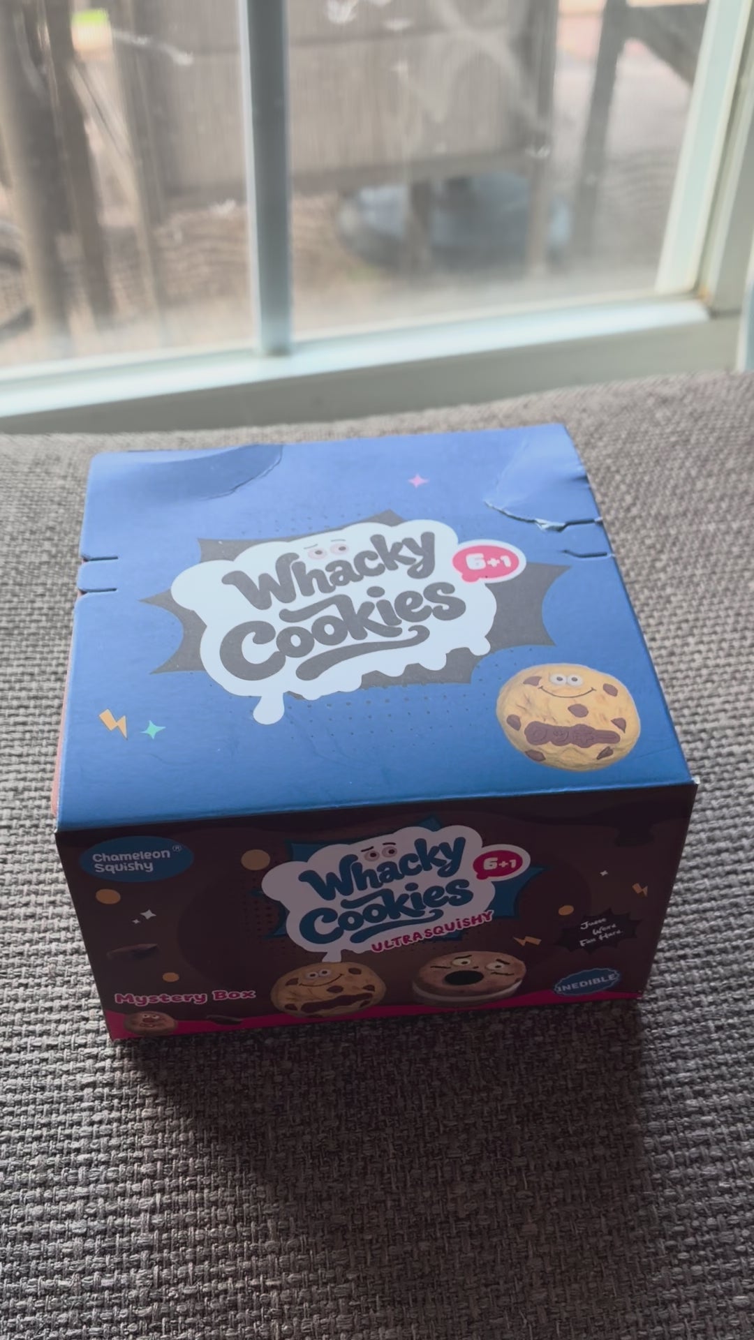 Whacky Squishy Cookie Cutie Slow Rising Mystery Box