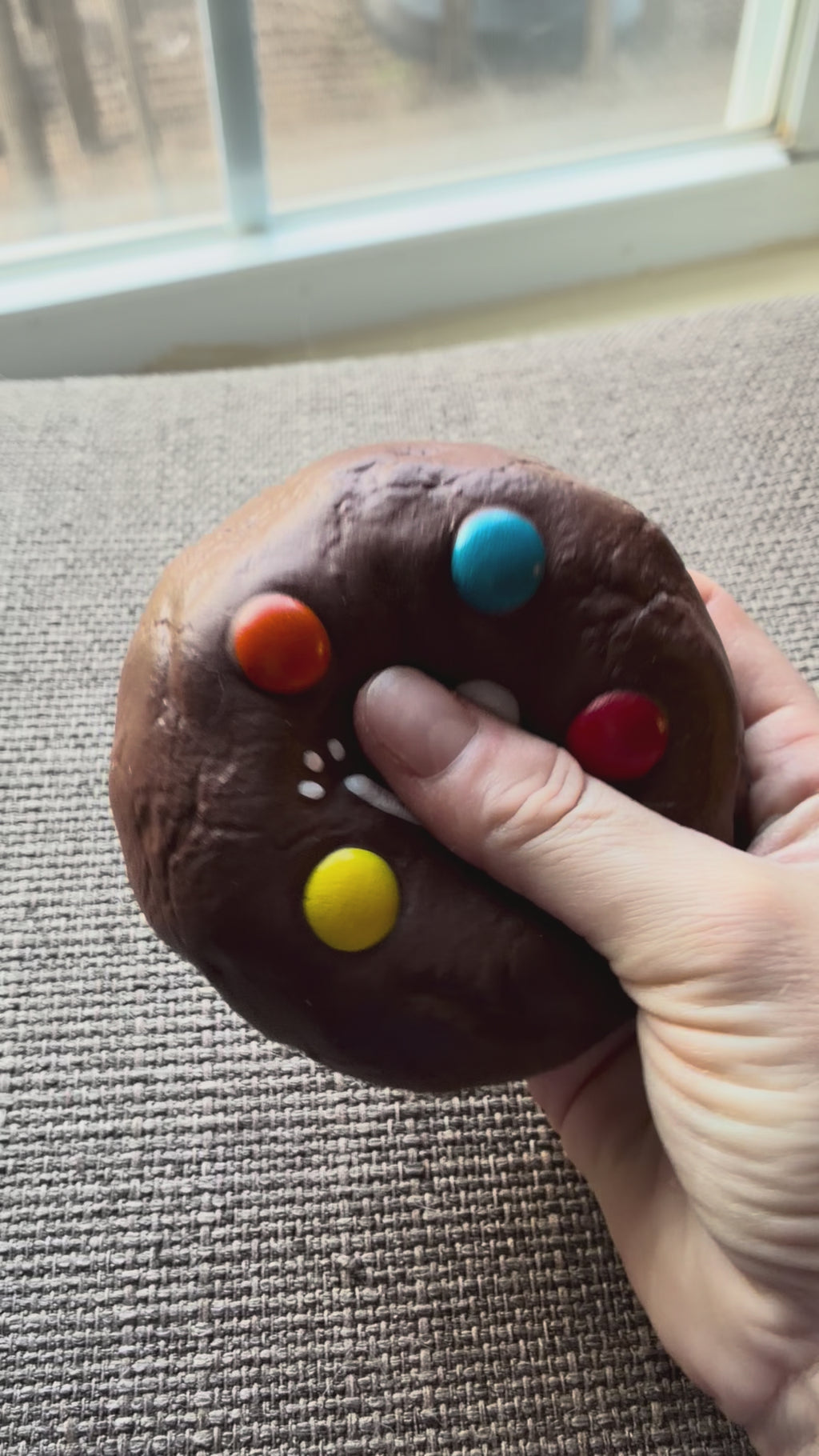 Whacky Squishy Cookie Cutie Slow Rising Mystery Box