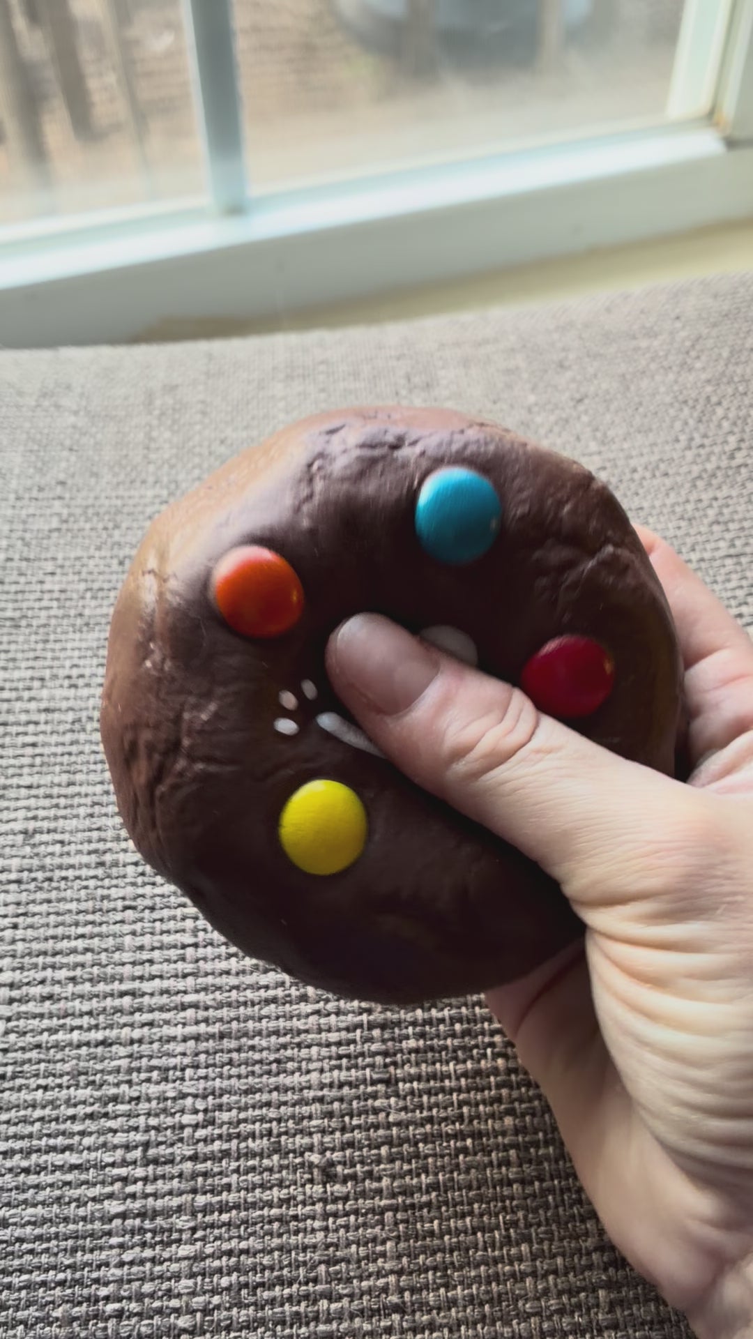 Whacky Squishy Cookie Cutie Slow Rising Mystery Box